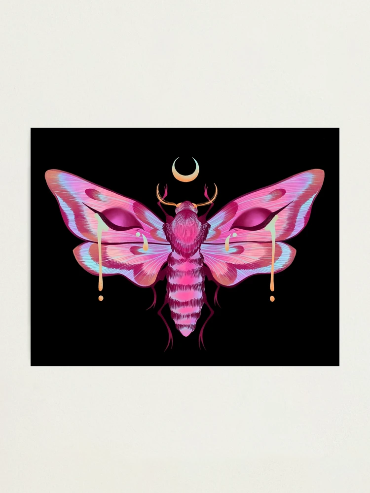  Psychedelic Death's Head Hawk Moth Diamond Painting Kits  Square Drill Cross Stitch Pictures Wall Art Decor 8x12 : Sports & Outdoors