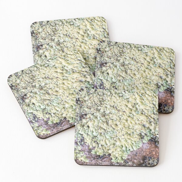 Item preview, Beautiful messthetics bright green lichen on tree trunk bark macro designed and sold by Grégory DUBUS.