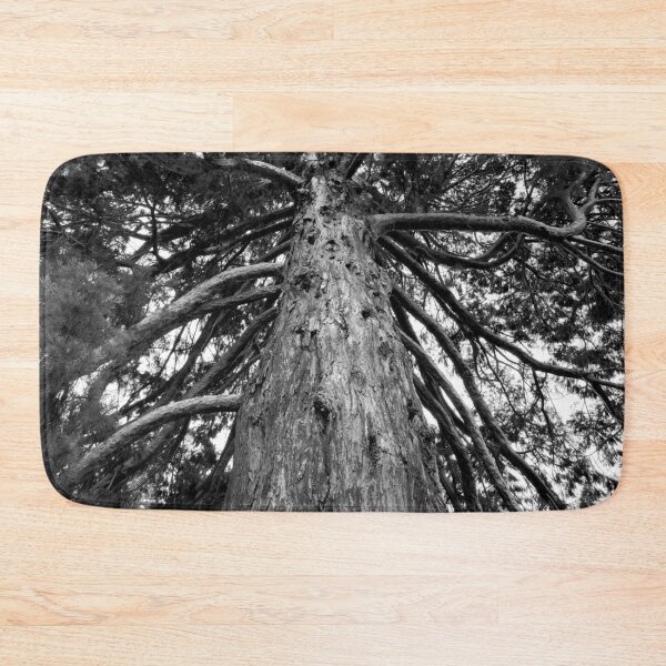Item preview, Black and White Photograph of a Redwood Tree designed and sold by kansaikate.