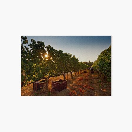 Item preview, Vine harvest designed and sold by Out there! Photography.