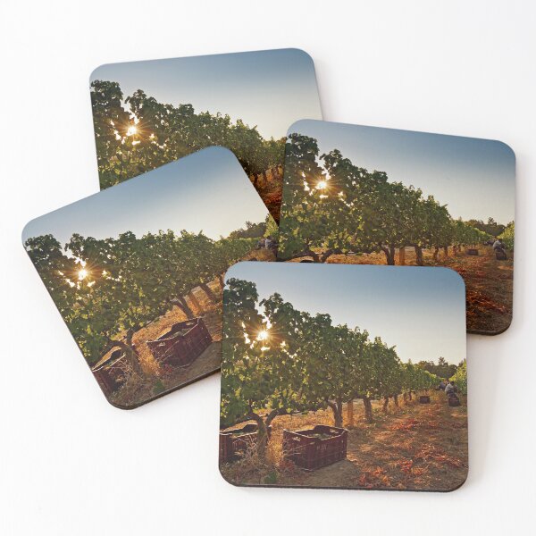 Item preview, Vine harvest designed and sold by Out there! Photography.