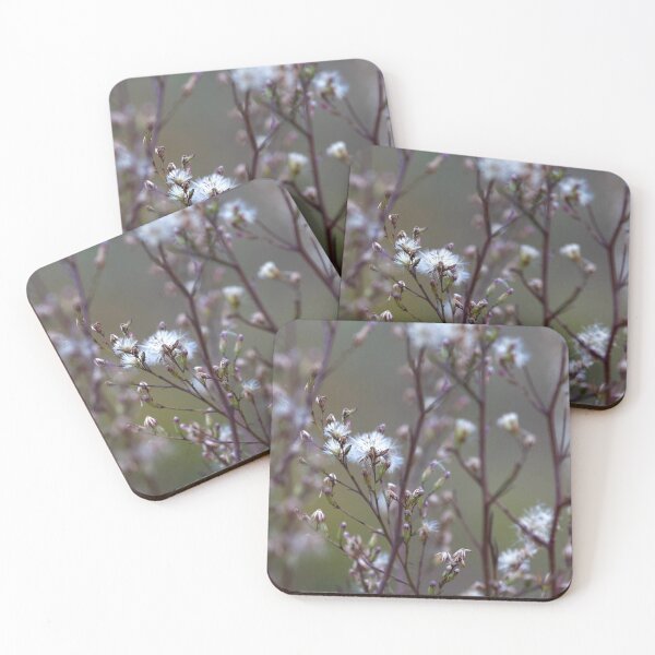 Item preview, Winter wildflowers  designed and sold by MargsNaturePix.