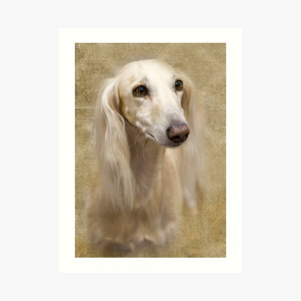 Look At Those Eyes Art Print