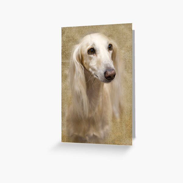 Look At Those Eyes Greeting Card