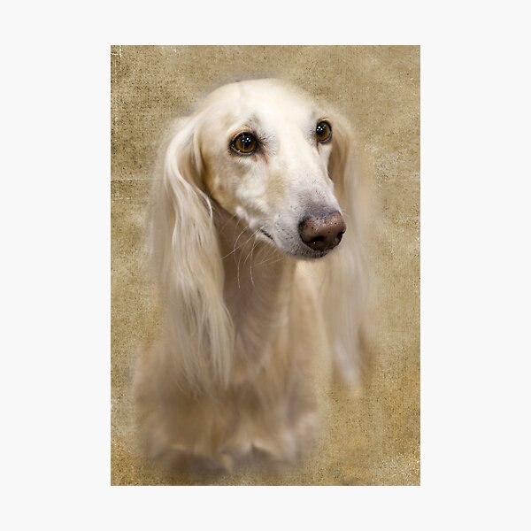 Look At Those Eyes Photographic Print