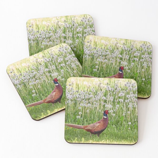 Item preview, Crowned with dandelions. Common pheasant designed and sold by Jouko Lehto Photography.
