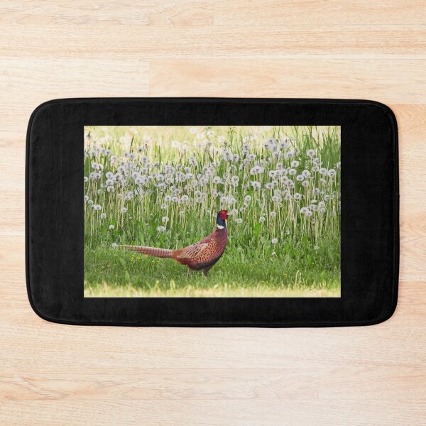 Item preview, Crowned with dandelions. Common pheasant designed and sold by Jouko Lehto Photography.