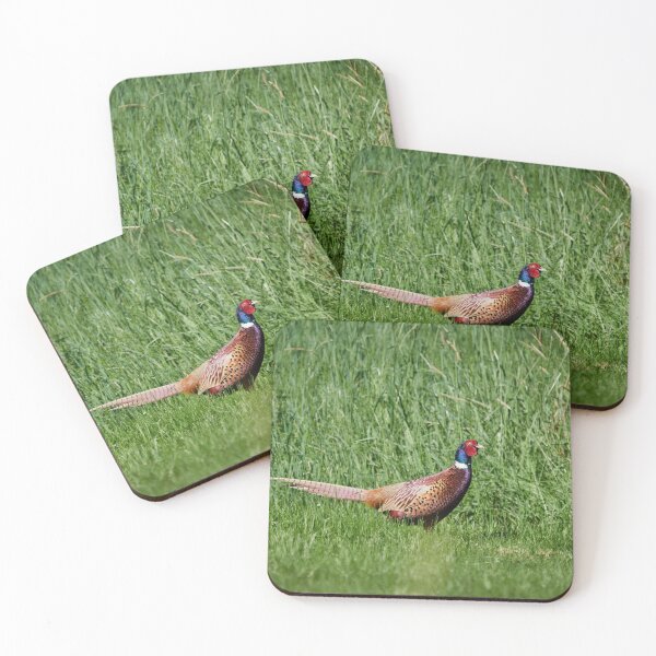Item preview, King of greens. Common pheasant designed and sold by Jouko Lehto Photography.