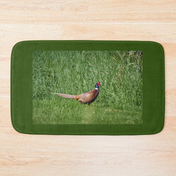 Item preview, King of greens. Common pheasant designed and sold by Jouko Lehto Photography.