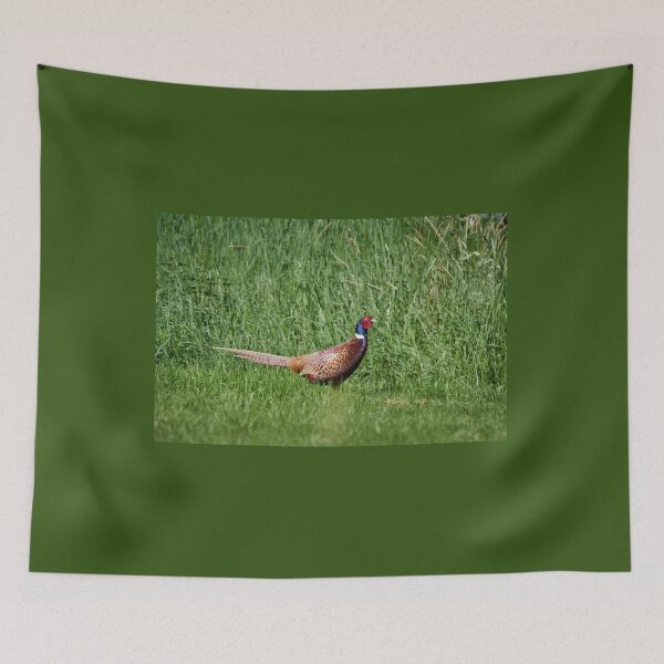 Item preview, King of greens. Common pheasant designed and sold by Jouko Lehto Photography.