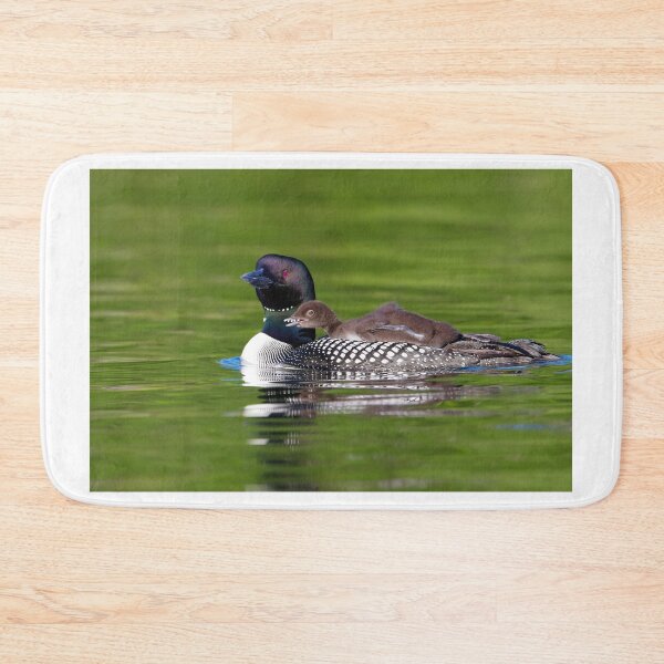 Item preview, Bucky! - Common Loon with chick designed and sold by James Cumming.