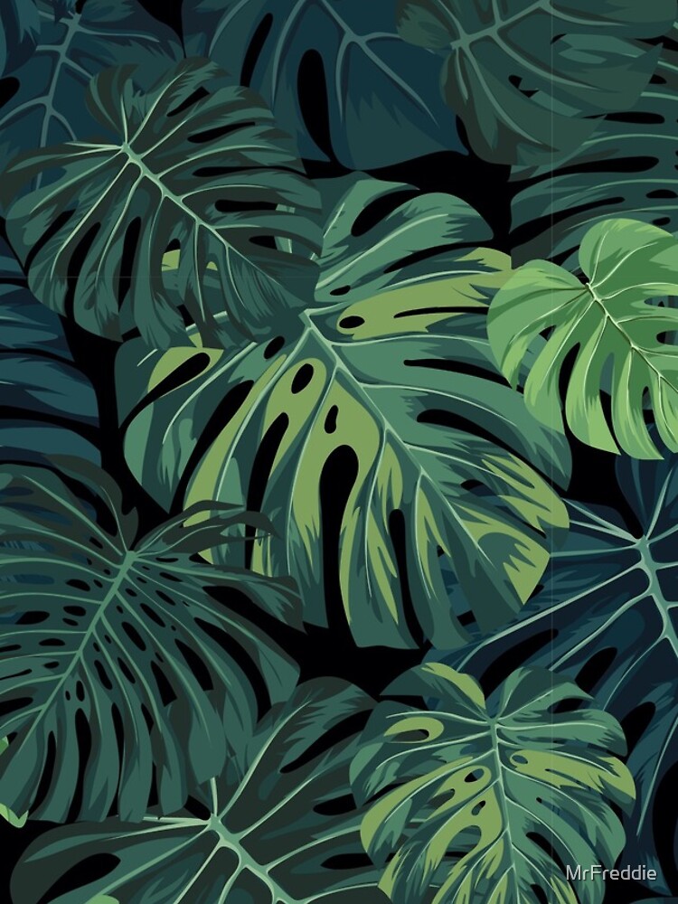 Monstera leaves by MrFreddie