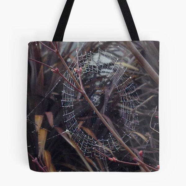 Item preview, Web I designed and sold by David Thompson.
