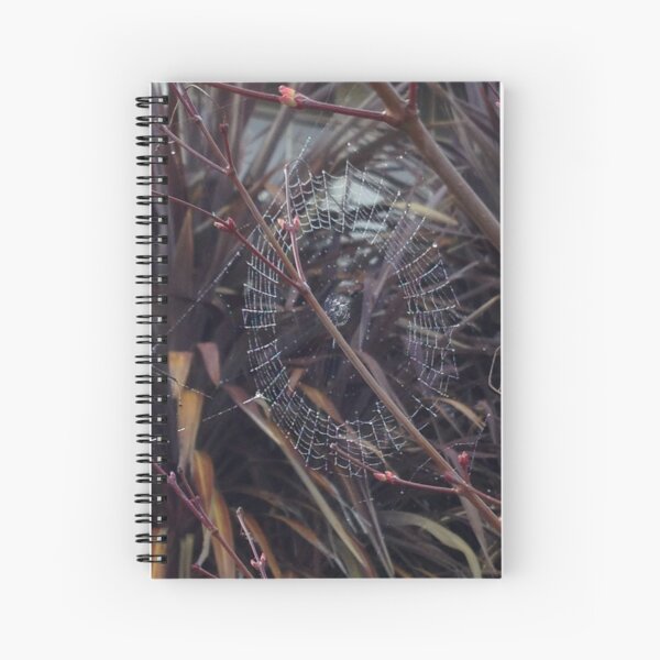 Item preview, Web I designed and sold by David Thompson.