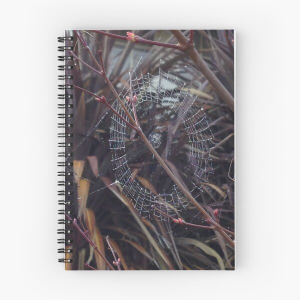 Item preview, Web I designed and sold by David Thompson.