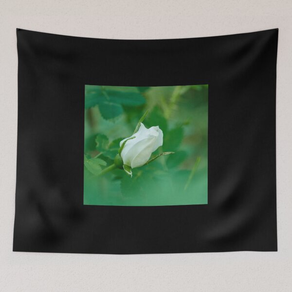 Item preview, Midsummer rose 23 designed and sold by Jouko Lehto Photography.