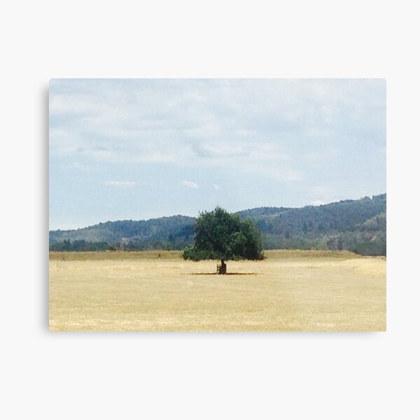 ISO Metal Print