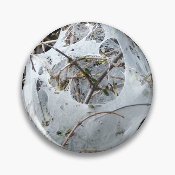 Item preview, Web II designed and sold by David Thompson.