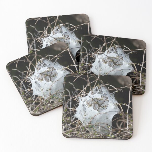 Item preview, Web II designed and sold by David Thompson.