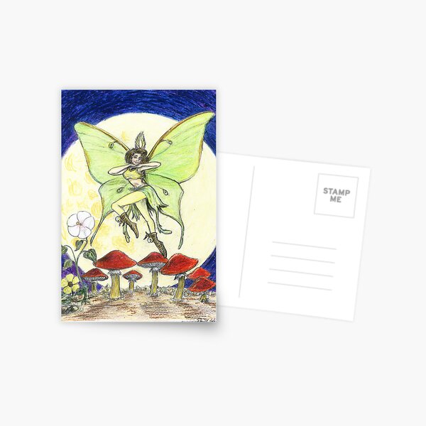 Luna Moth Postcard