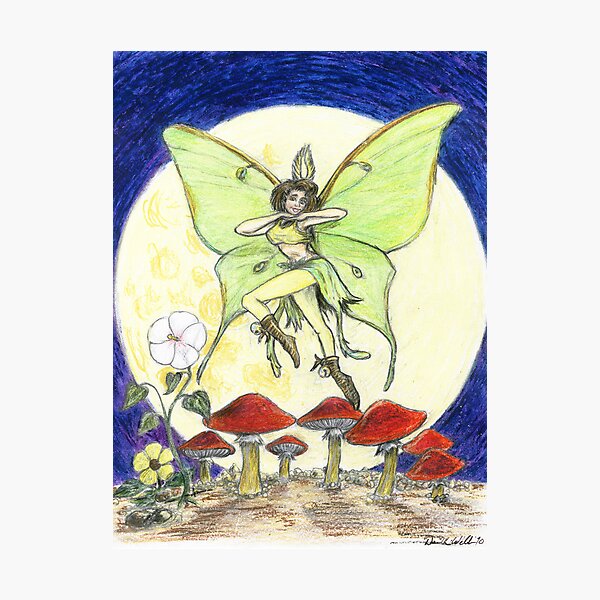 Luna Moth Photographic Print