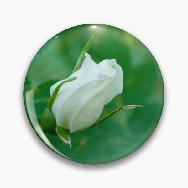 Item preview, Midsummer rose 23 designed and sold by Jouko Lehto Photography.