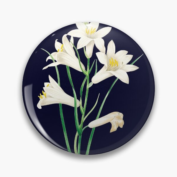 Item preview, St, Brunos Lily (Lis St. Bruno) designed and sold by domdjs4239.
