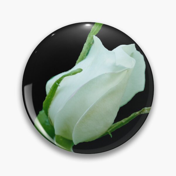 Item preview, Midsummer rose 23 trasparent designed and sold by Jouko Lehto Photography.