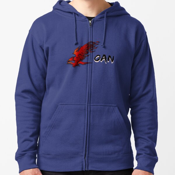 purple hollister hoodie
