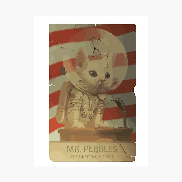 Mr. Pebbles - The first cat in space Photographic Print