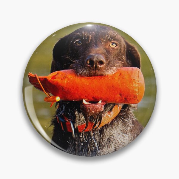 Item preview, German Wirehaired Pointer retrieving in water designed and sold by FOLK ART FUSION by heidiannemorris.