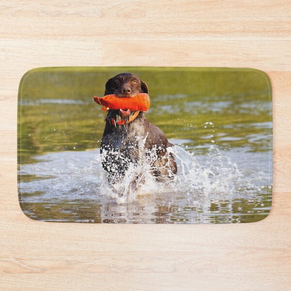 Item preview, German Wirehaired Pointer retrieving in water designed and sold by FOLK ART FUSION by heidiannemorris.
