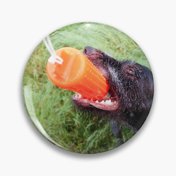 Item preview, German Wirehaired Pointer with orange dummy designed and sold by FOLK ART FUSION by heidiannemorris.