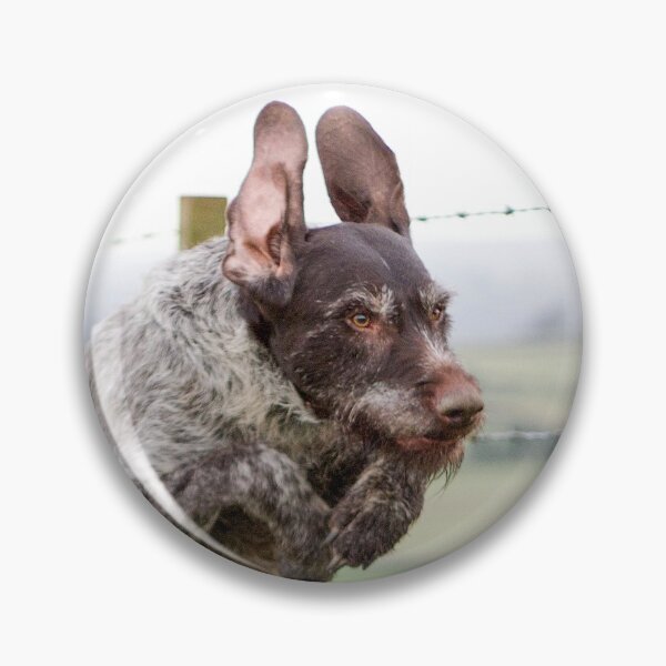 Item preview, German Wirehaired Pointer leaping designed and sold by FOLK ART FUSION by heidiannemorris.