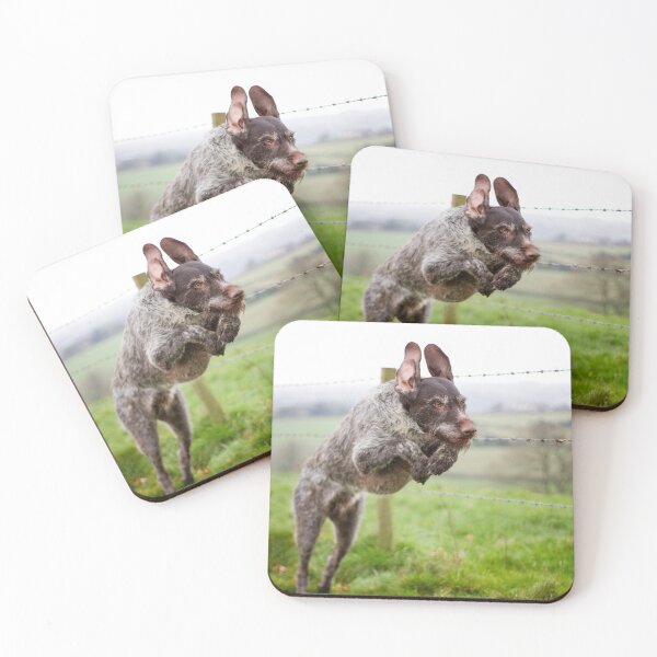 Item preview, German Wirehaired Pointer leaping designed and sold by FOLK ART FUSION by heidiannemorris.