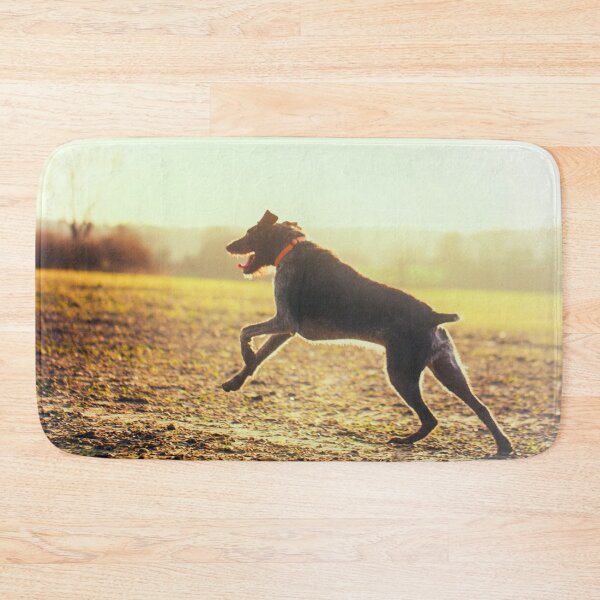 Item preview, German Wirehaired Pointer running designed and sold by FOLK ART FUSION by heidiannemorris.