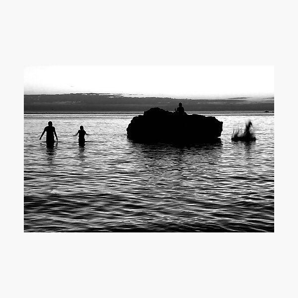 Bird Rock Photographic Print