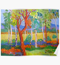 Wilma's Place ; Utopia, Brooweena Qld . Poster
