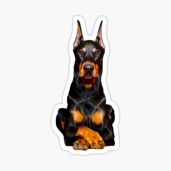 Doberman Guards Me - Dobermann Pinscher Dog Sticker