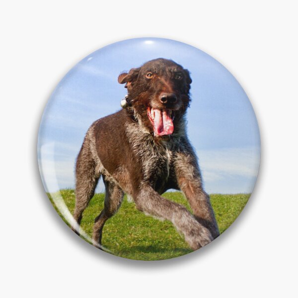Item preview, Super happy German Wirehaired Pointer Fly-by designed and sold by FOLK ART FUSION by heidiannemorris.