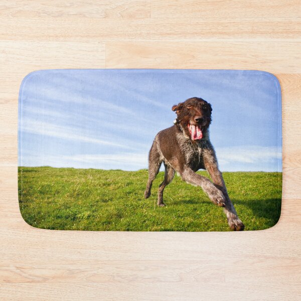 Item preview, Super happy German Wirehaired Pointer Fly-by designed and sold by FOLK ART FUSION by heidiannemorris.