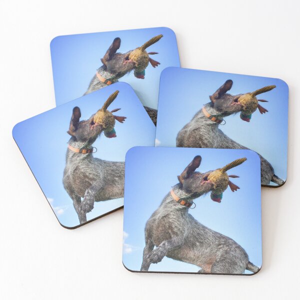 Item preview, German Wirehaired Pointer catches toy designed and sold by FOLK ART FUSION by heidiannemorris.