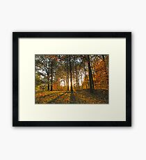 Michigan Fall Sunset Framed Print