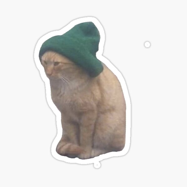 cat in a toque