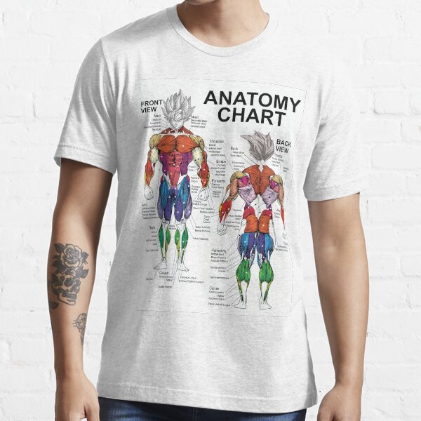 Anatomy Muscle Chart Diagram T Shirt By Gohanflex Redbubble