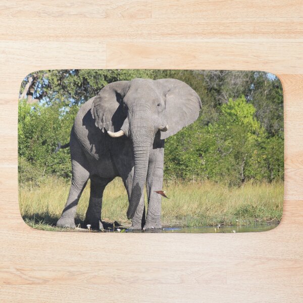 Item preview, Elephant who comes to drink designed and sold by EstelleRossetti.
