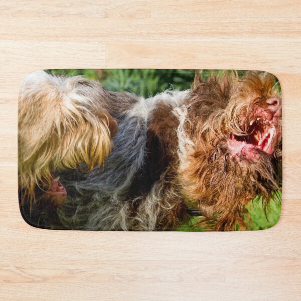 Item preview, Italian Spinone Play Fight by heidiannemorris designed and sold by FOLK ART FUSION by heidiannemorris.
