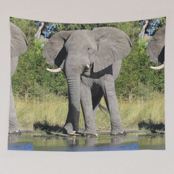 Item preview, Elephant who comes to drink designed and sold by EstelleRossetti.