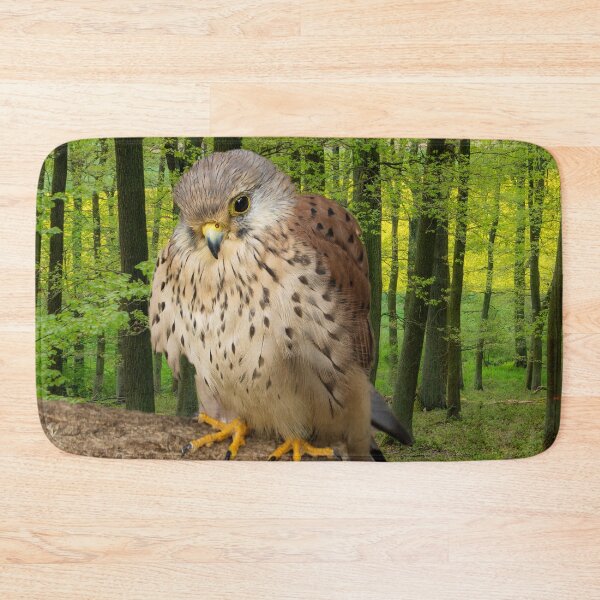 Item preview, Little hawk - wildlife photography designed and sold by MarionsArt.
