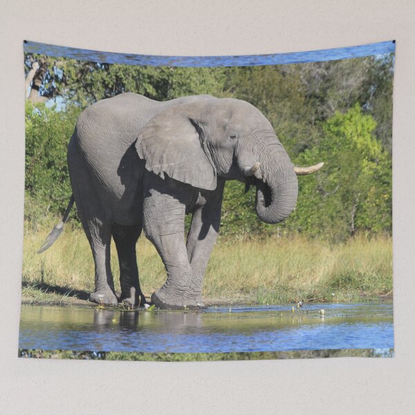 Item preview, Elephant who comes to drink designed and sold by EstelleRossetti.